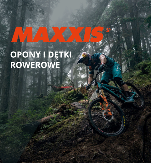 Szroki wybór ogumienia