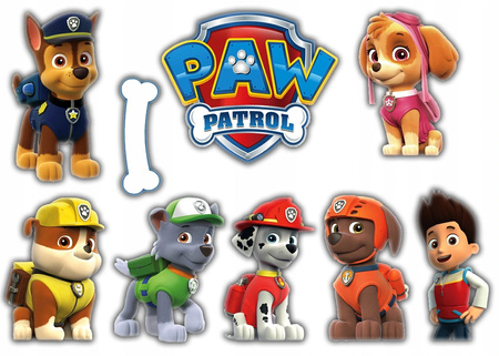 Plastikowy koszyk na ROWER HULAJNOGĘ PSI PATROL