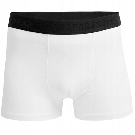 Bokserki męskie 4F 2x Multikolor 2 XXL