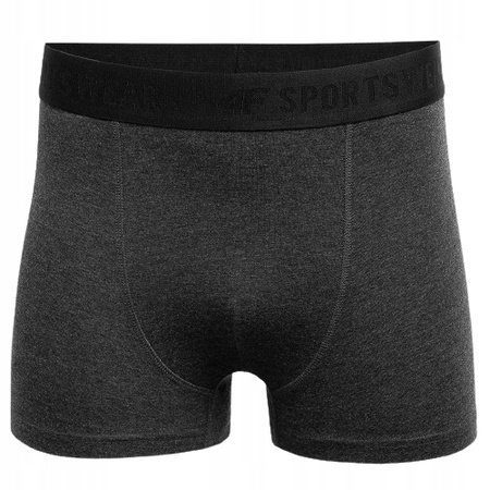 Bokserki męskie 4F 2x Multikolor 2 XXL