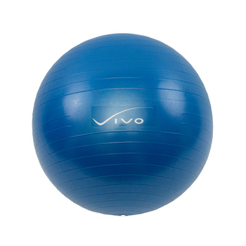 Piłka gimnastyczna Vivo 65cm DARK BLUE FA002